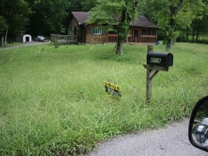 Giving good lawn care estimates.