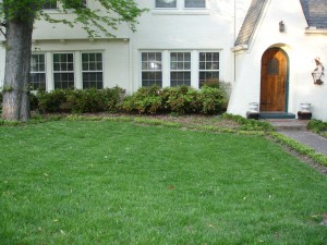 Start a Lawn Care Business - Perfect Christmas Present