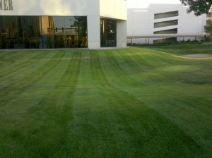 Bidding Lawn Mowing Contracts for 2012